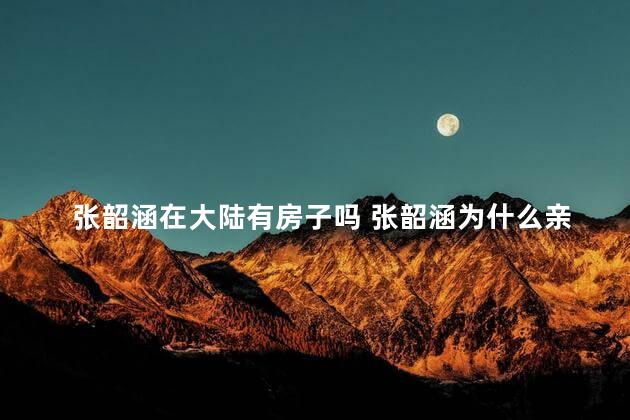 张韶涵在大陆有房子吗 张韶涵为什么亲大陆